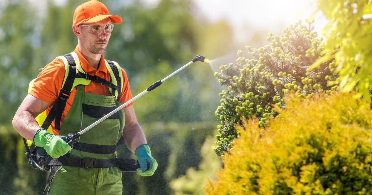Best Insecticide for Whiteflies