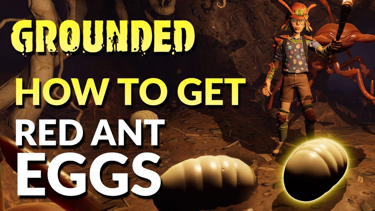 Easiest Way to Get Red Ant Eggs Grounded