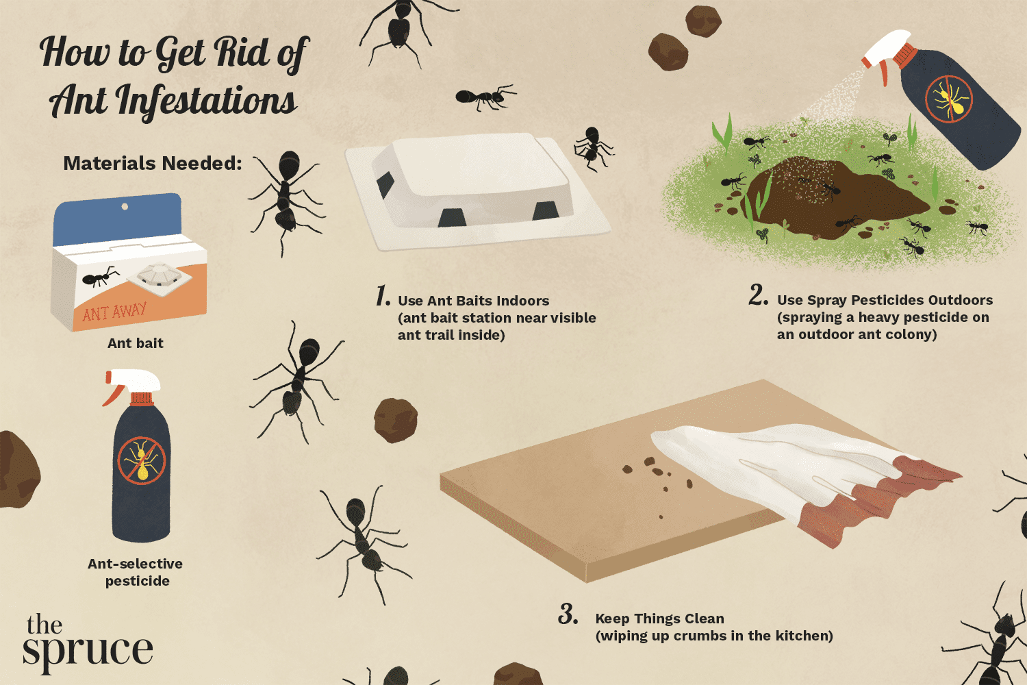 How to Deal With Ant Problem in House