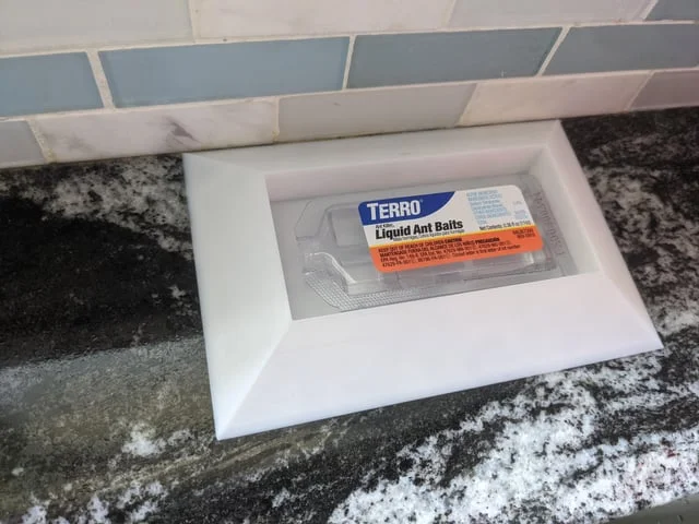 is it safe to put ant traps on counters Is It Safe to Put Ant Traps on Counters