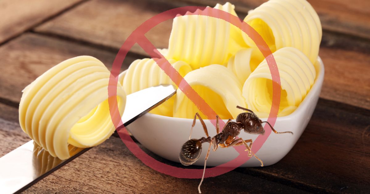 Ants Won't Eat Margarine