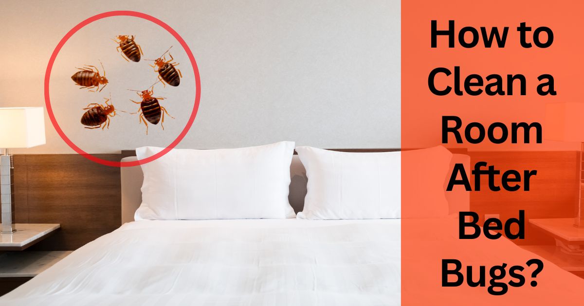 How to Clean a Room After Bed Bugs?