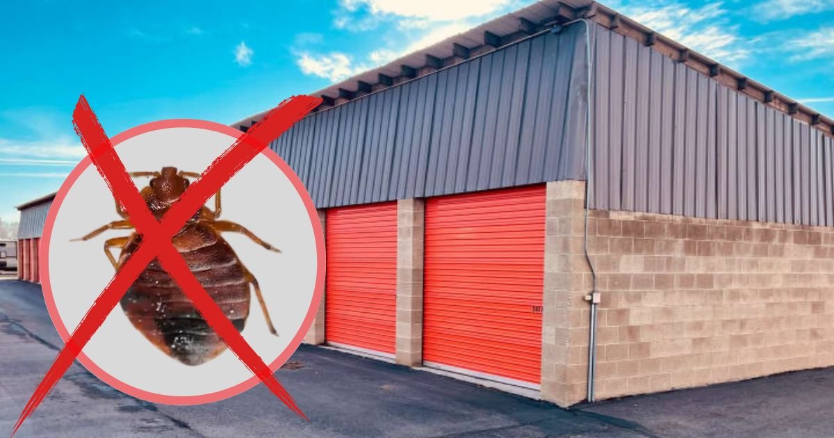 How to Prevent Bed Bugs in Storage