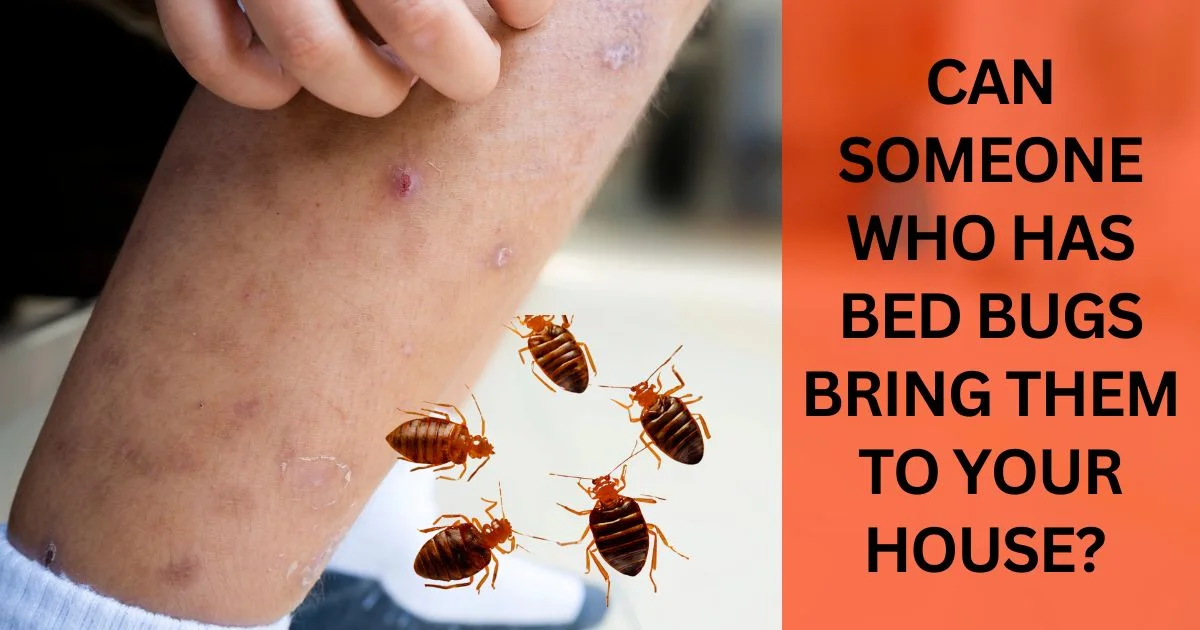How to Prevent Someone from Bringing Bed Bugs into Your Home