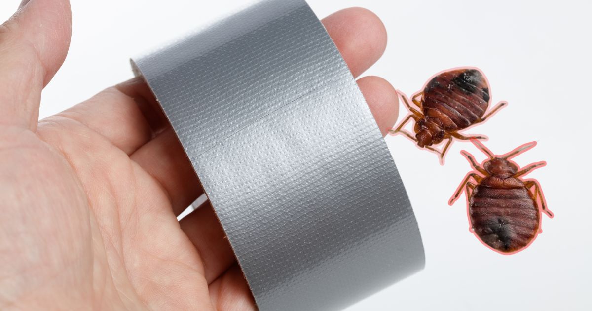 How to Trap Bed Bugs With Duct Tape