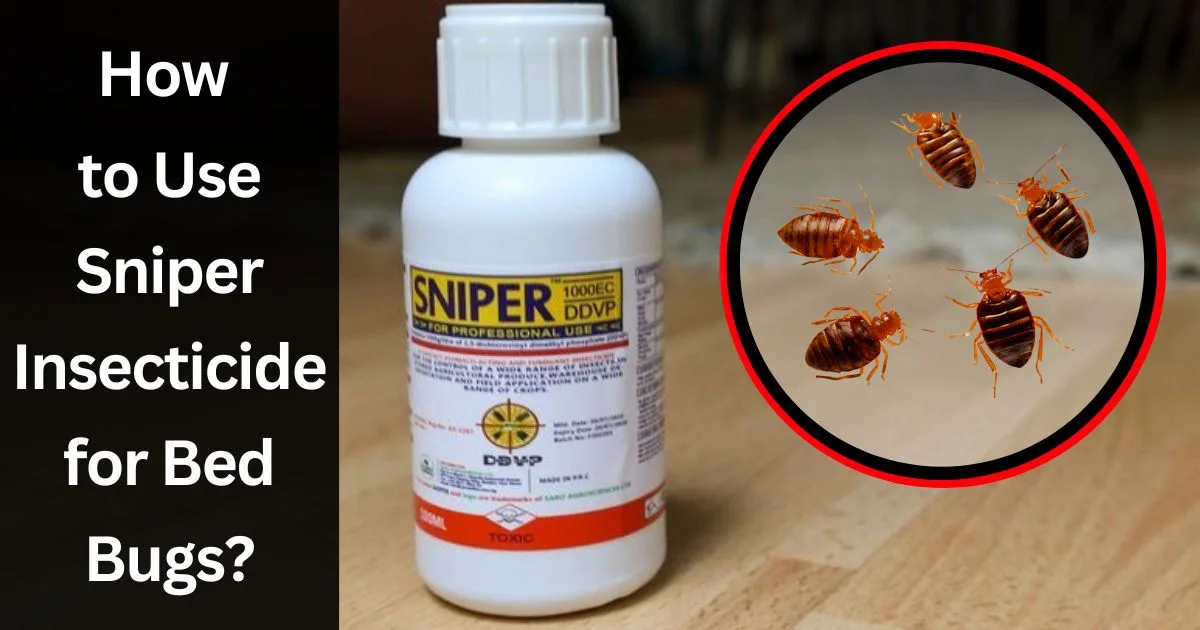 How to Use Sniper Insecticide for Bed Bugs