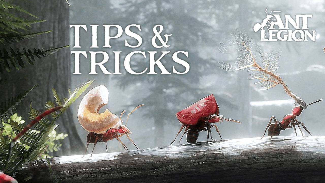 Ant Legion Tips And Tricks