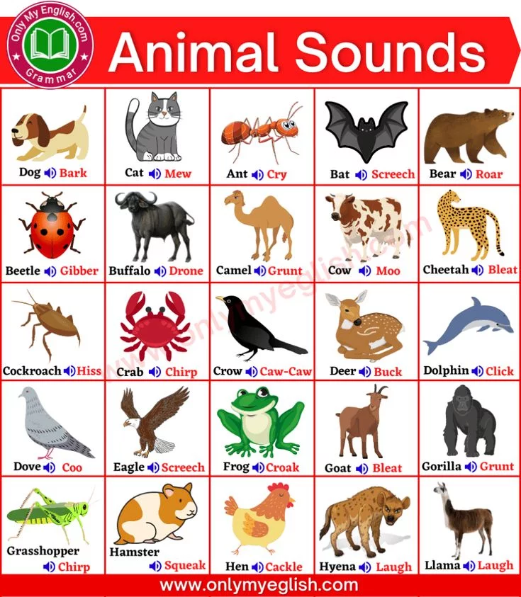 Ant Sound Name in English