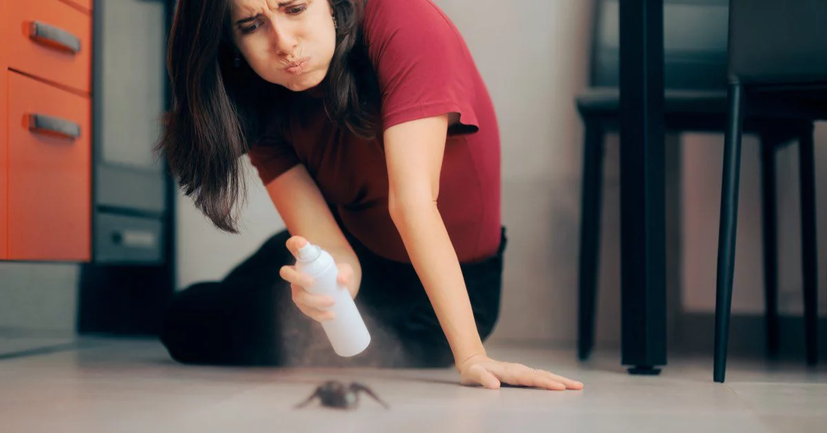 Ants Won'T Cross a Line of Salt