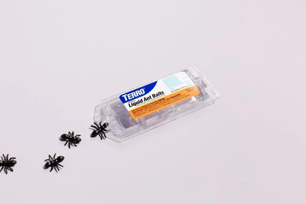 Best Ant Bait Australia