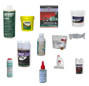 Best Ant Killer Nz