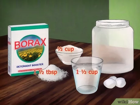 Best Way to Use Borax for Ants