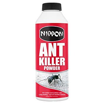 Can Ant Poison Kill Humans