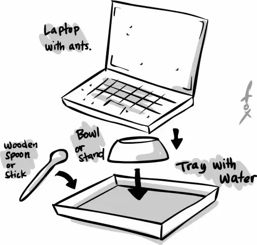 Can Ants Cause Damage to Laptop