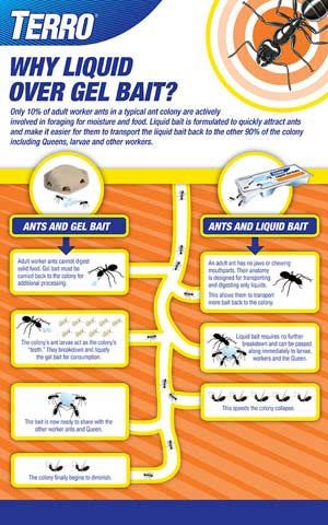 How Do Ant Bait Traps Work