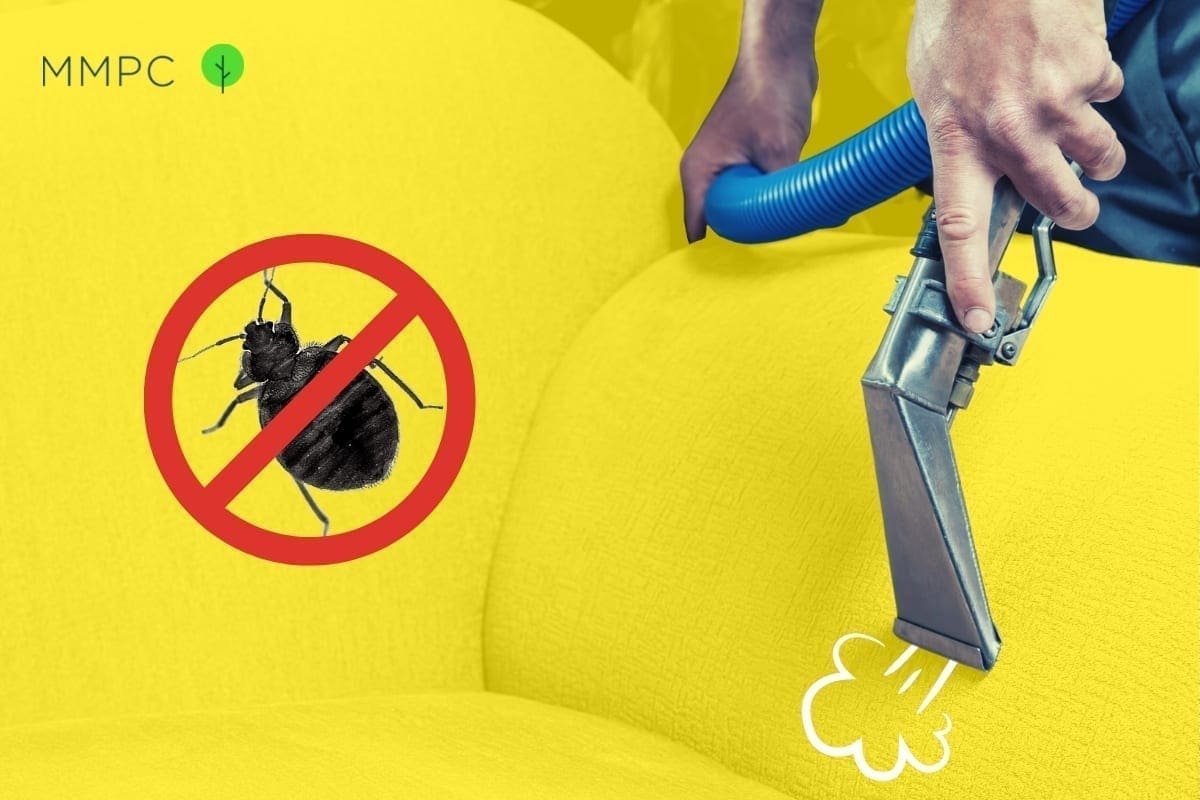 How Hot Does a Steamer Need to Be to Kill Bed Bugs?