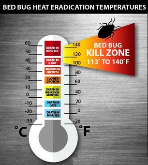 How Hot Does It Have to Be to Kill Bed Bugs?