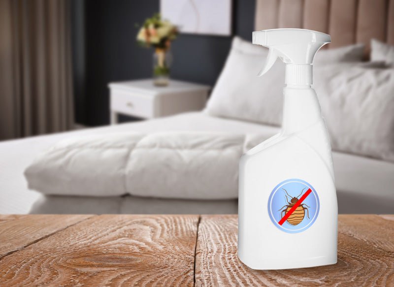 How Long Does It Take for Bed Bugs to Die After Spraying?