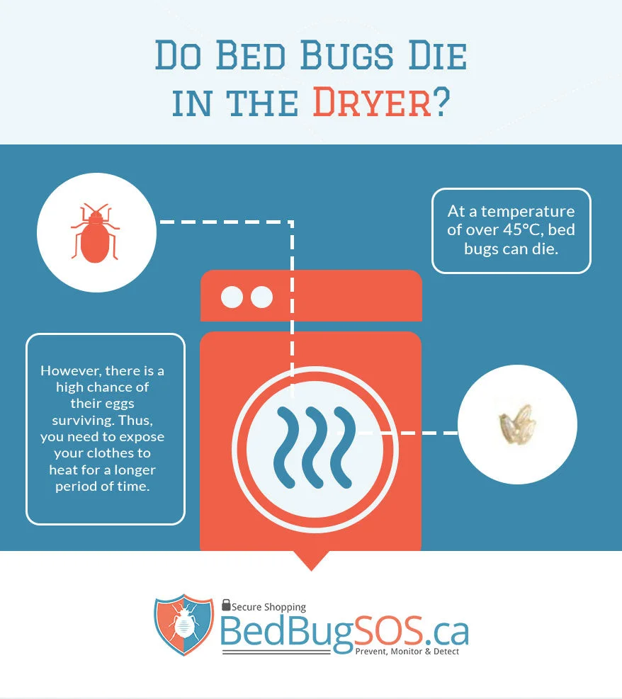 How Long to Put Clothes in Dryer for Bed Bugs?