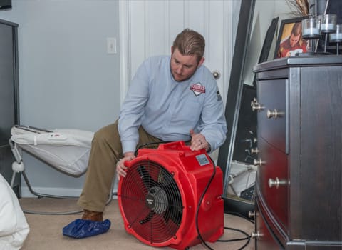 How Long to Treat Bed Bugs With Heat?