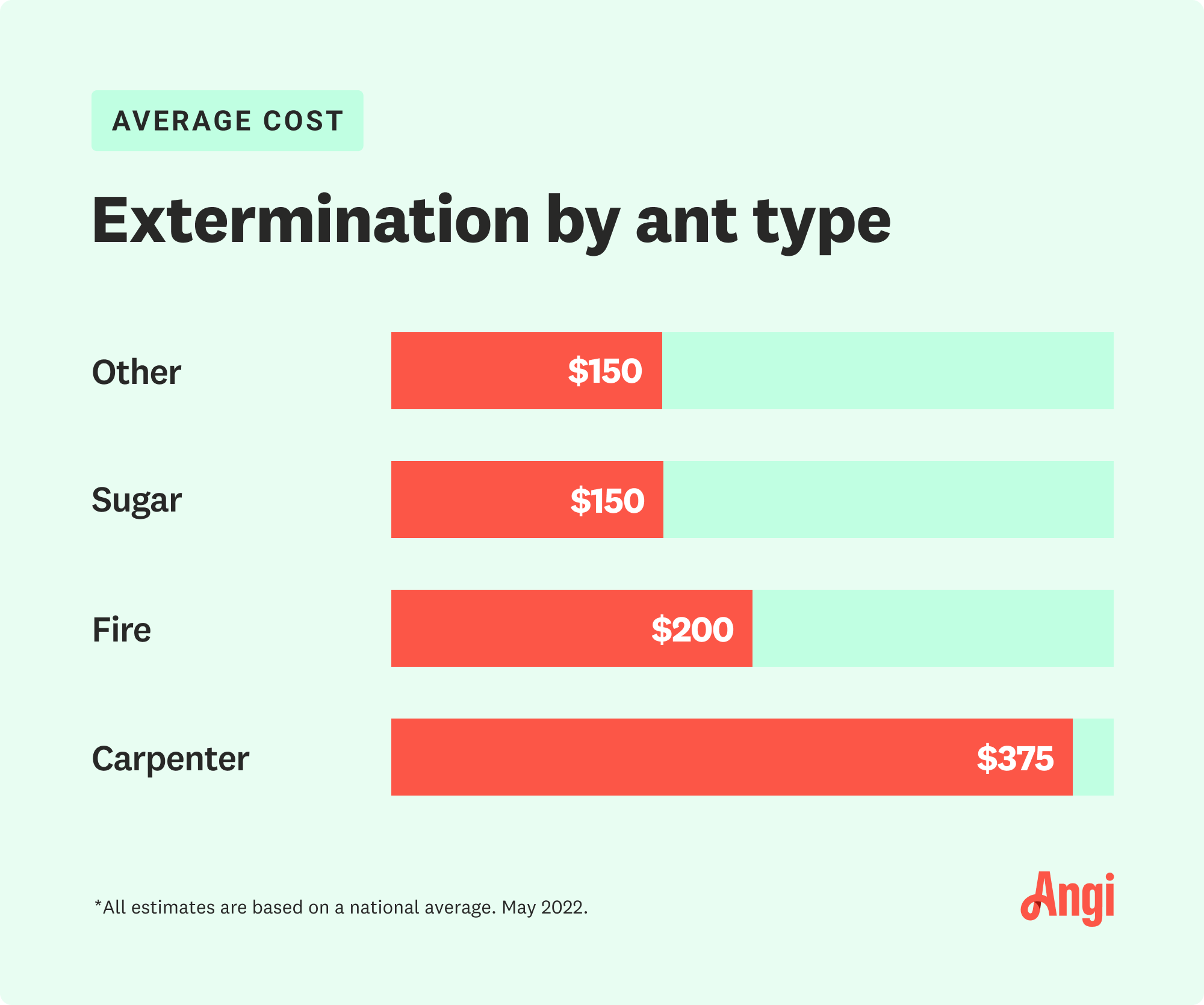 How Much Does Ant Treatment Cost