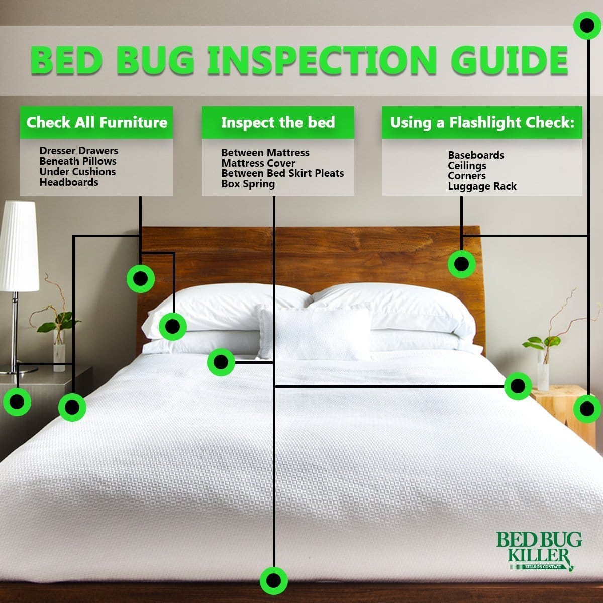 How to Check for Bed Bugs With Flashlight?