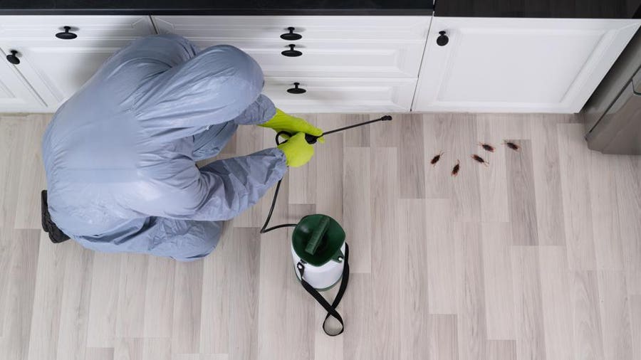 How to Clean a House After Bombing for Bed Bugs?