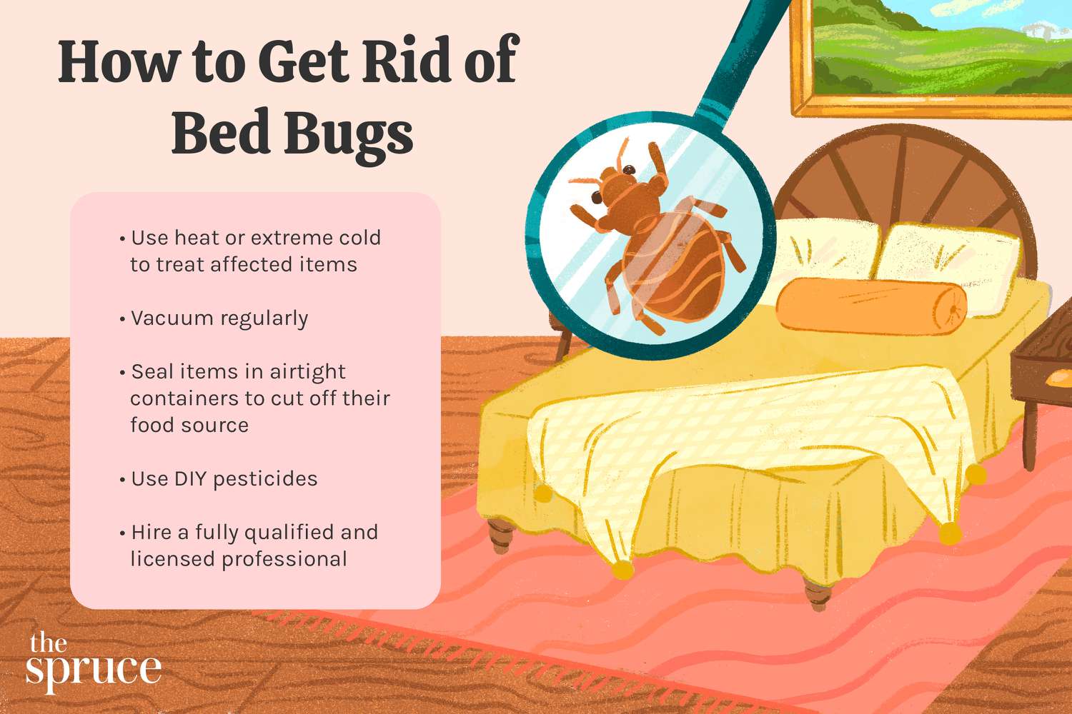 How to Clean for Bed Bugs?