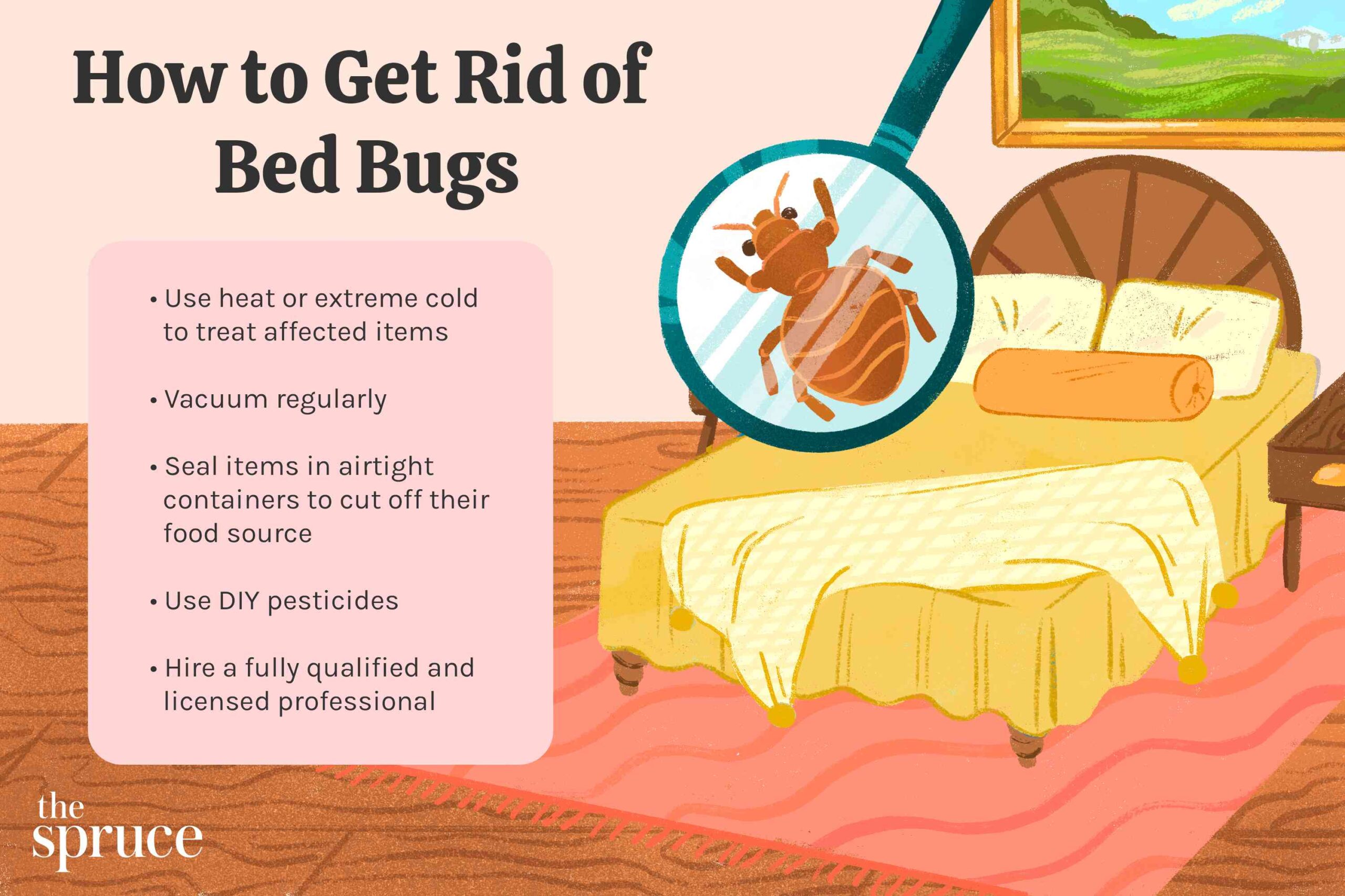 How to Get Bed Bugs Out of My Bed