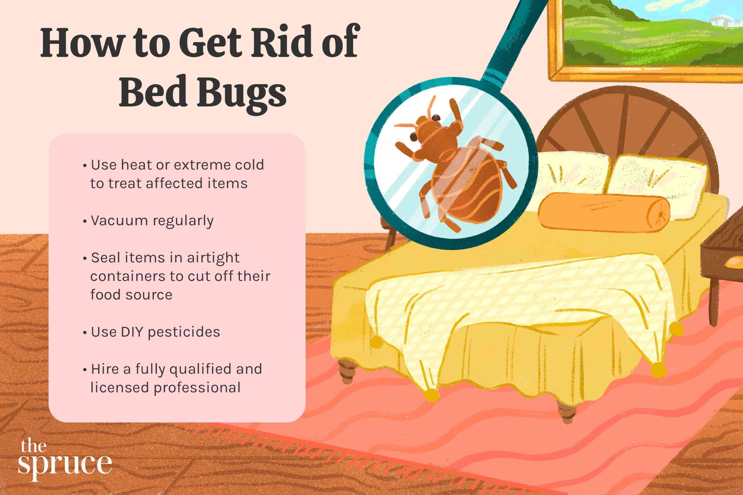 How to Get Bed Bugs to Come Out