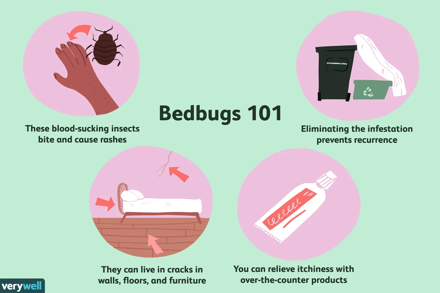 how to get rid of bed bugs bites How to Get Rid of Bed Bugs Bites?