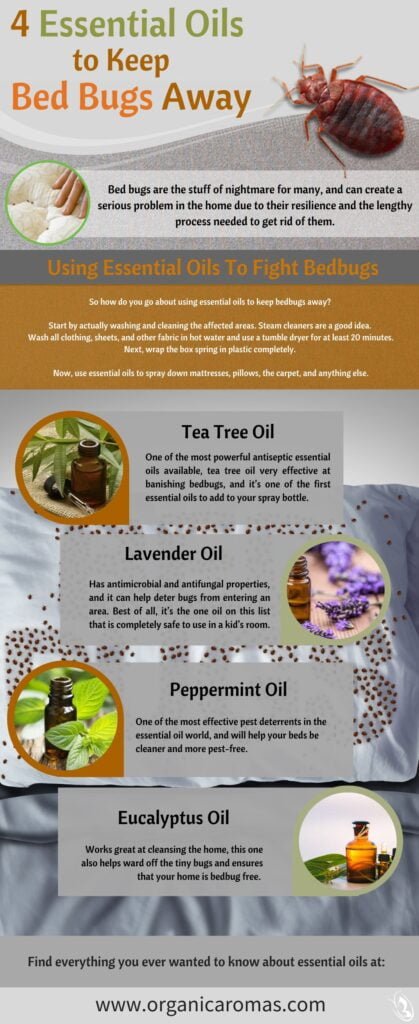 How to Get Rid of Bed Bugs Using Essential Oils?