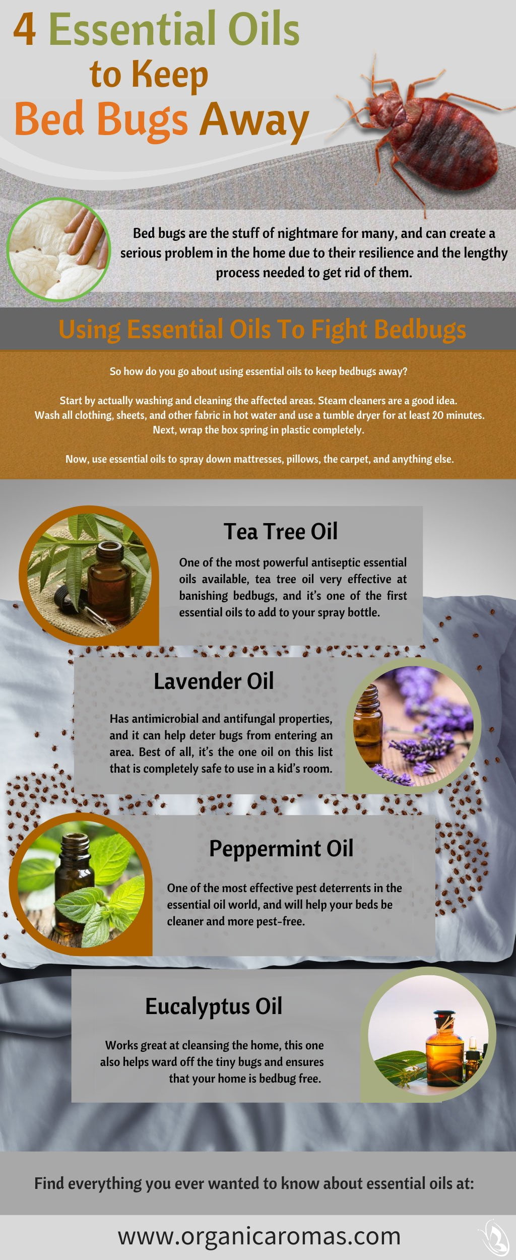 How to Get Rid of Bed Bugs Using Essential Oils?