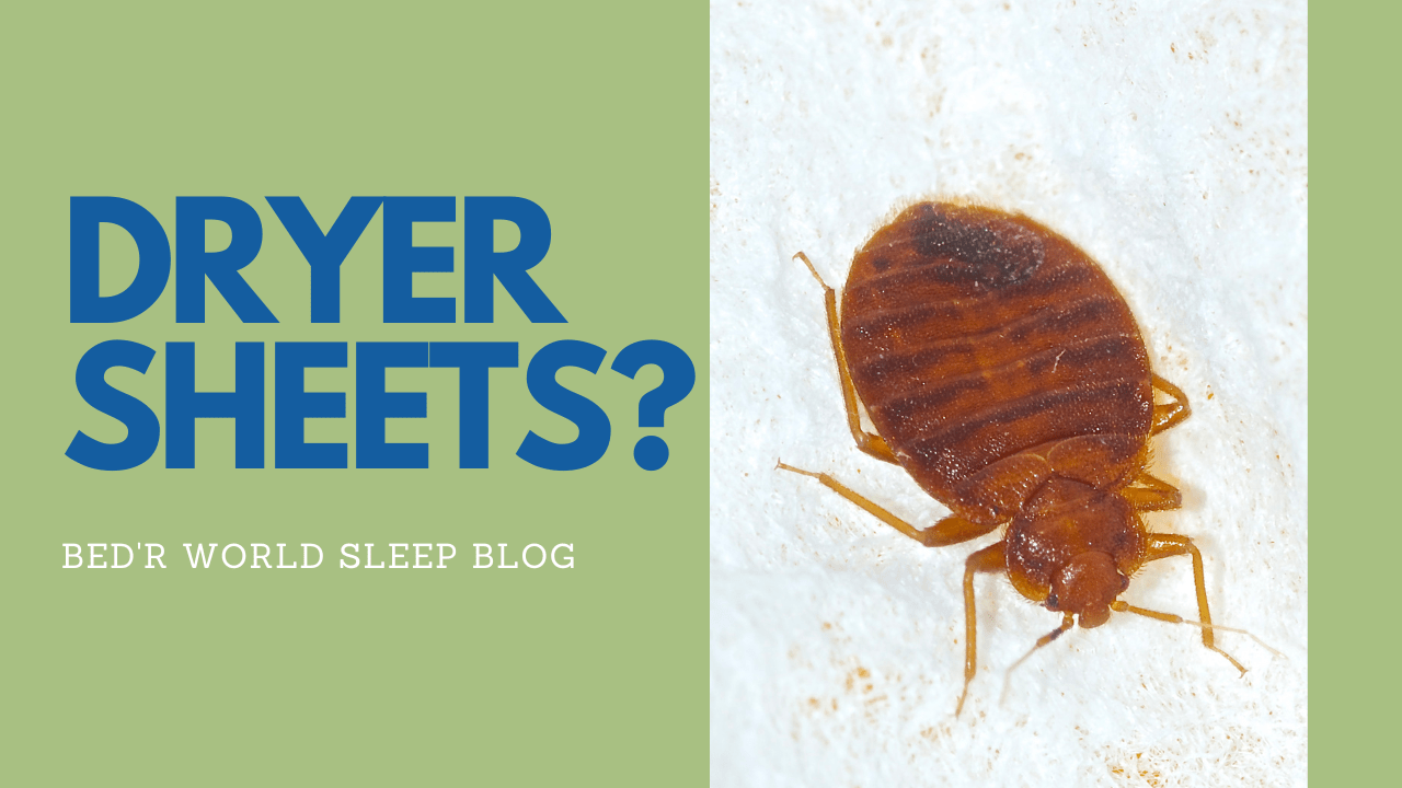 How to Get Rid of Bed Bugs With Dryer Sheets?