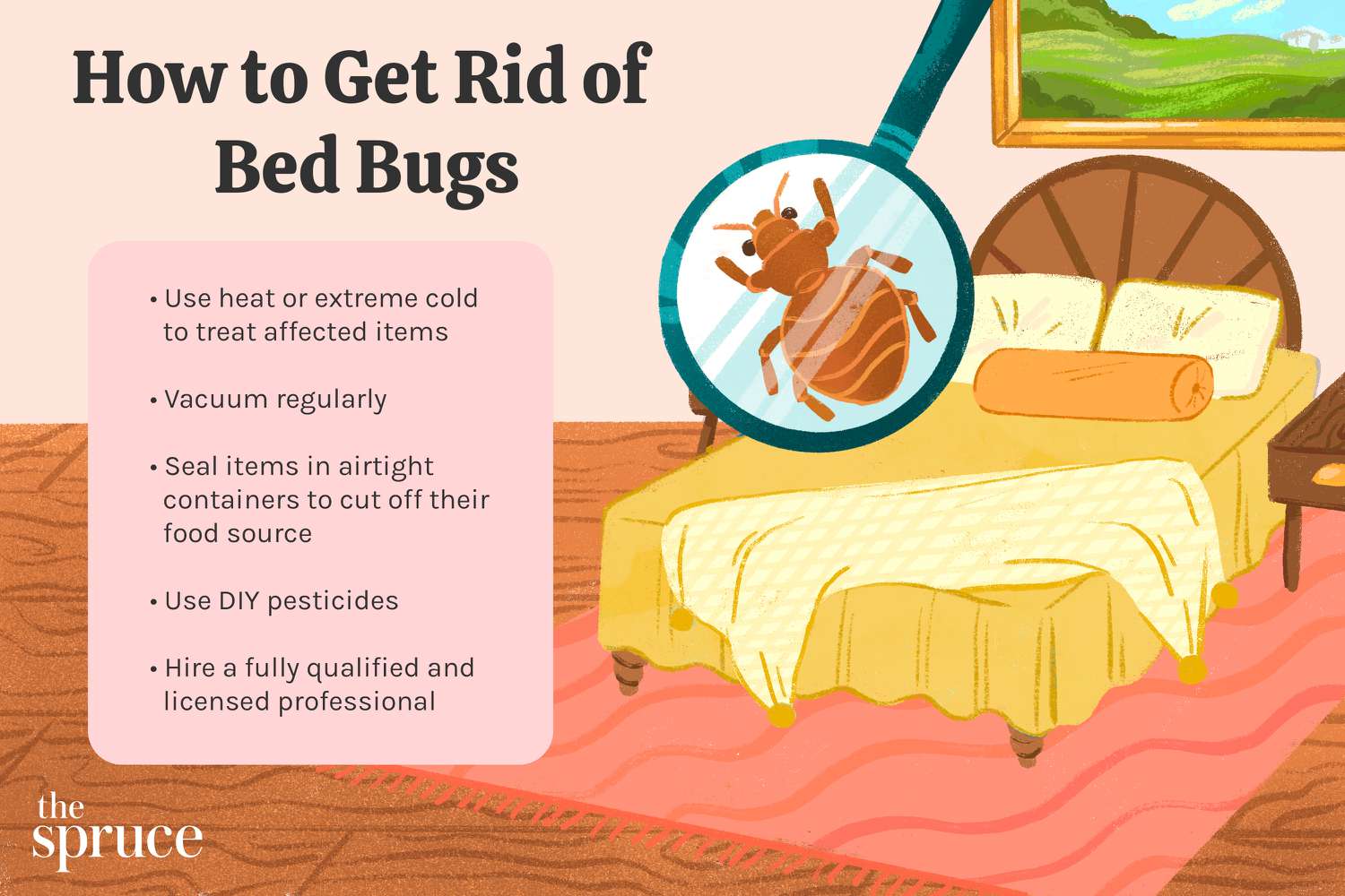 How to Help With Bed Bugs