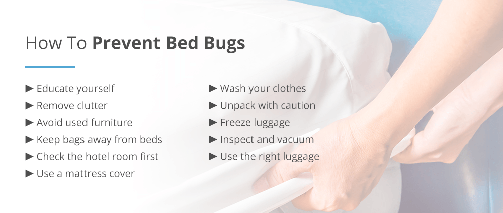 How to Keep Bed Bugs off of You?