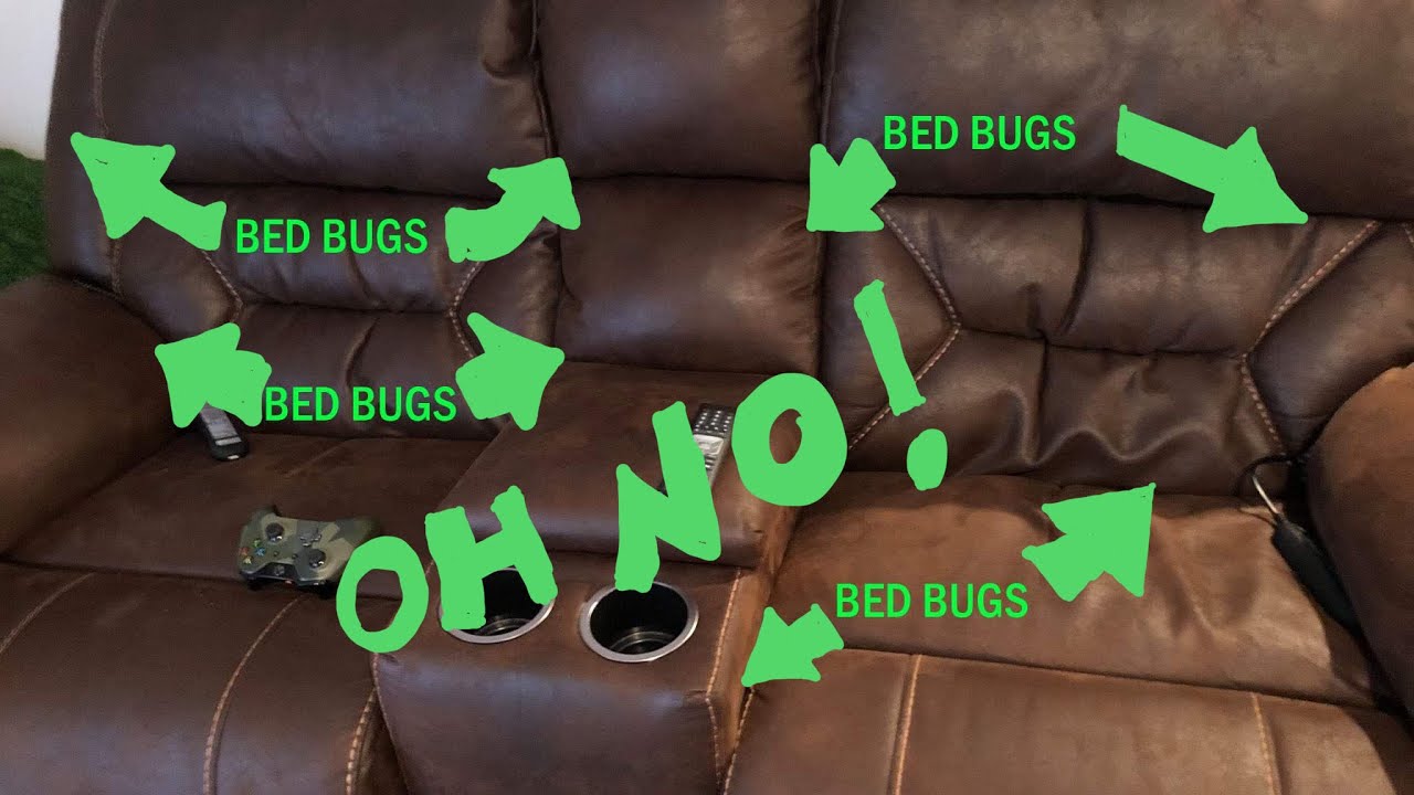 How to Look for Bed Bugs in Couch?