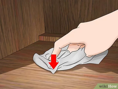 how to lure out bed bugs How to Lure Out Bed Bugs