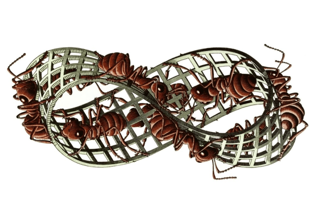 How to Make Ant Death Spiral