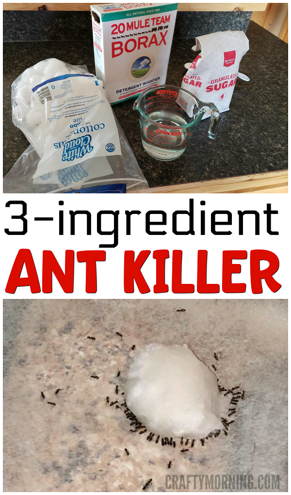 How to Make Ant Killer With Borax