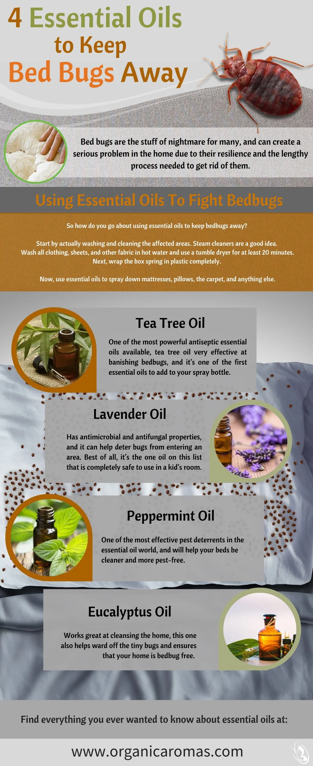 How to Repel Bed Bugs With Essential Oils?