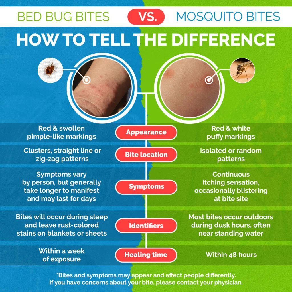 How to Tell Mosquito Bites from Bed Bugs?