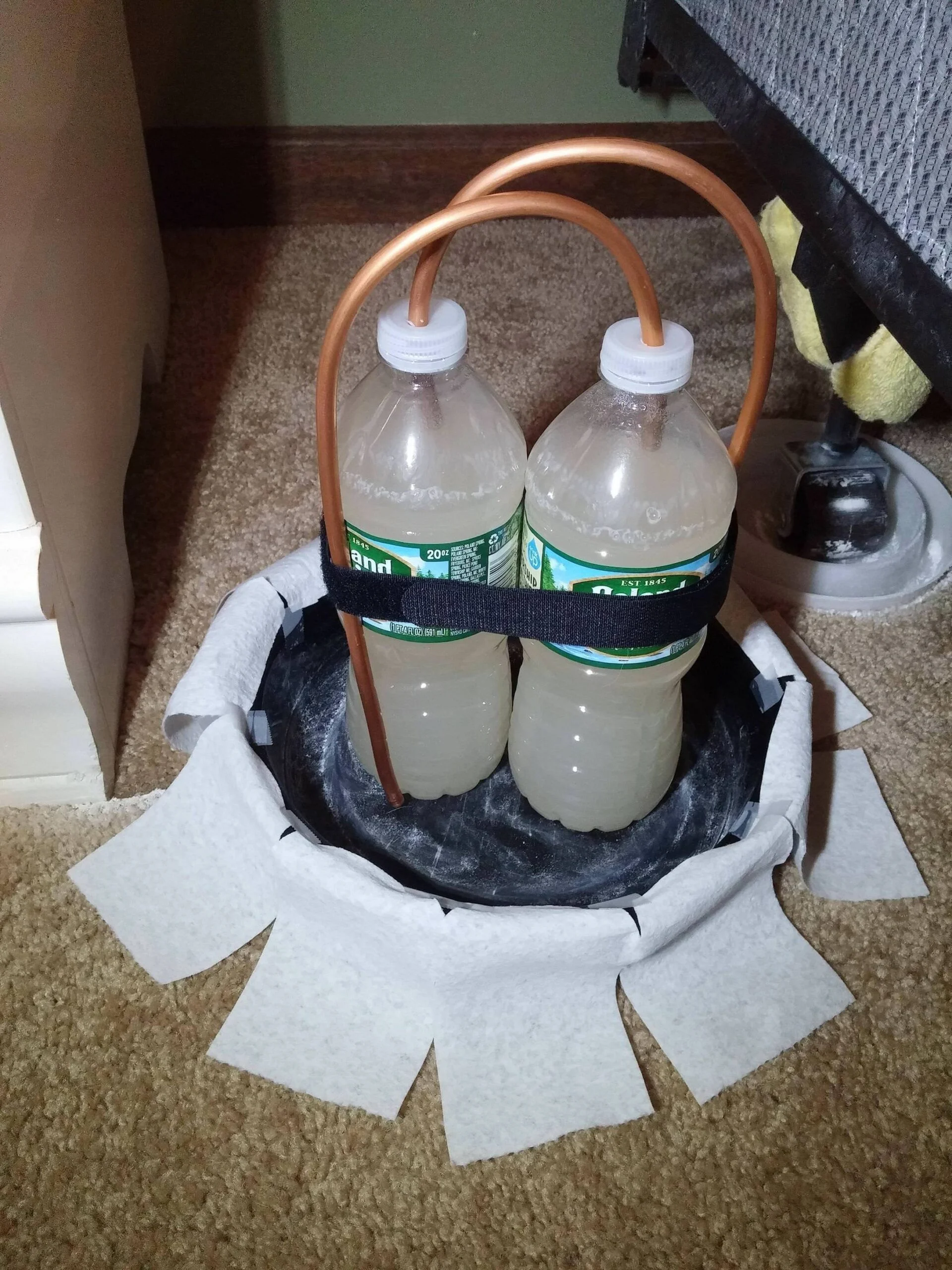 How to Trap Bed Bugs With Co2?