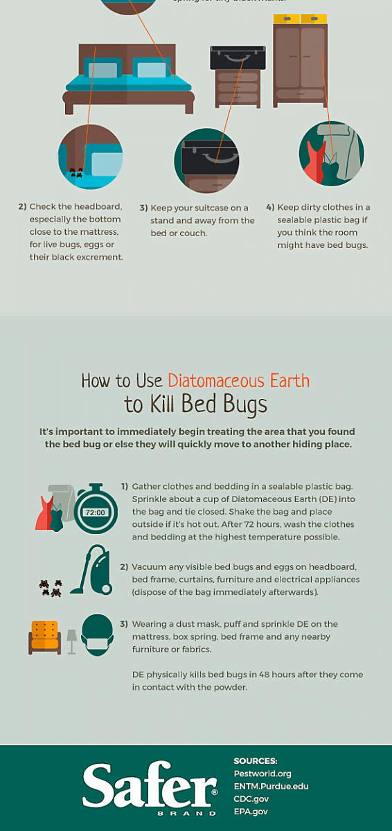 How to Treat Bed Frame for Bed Bugs