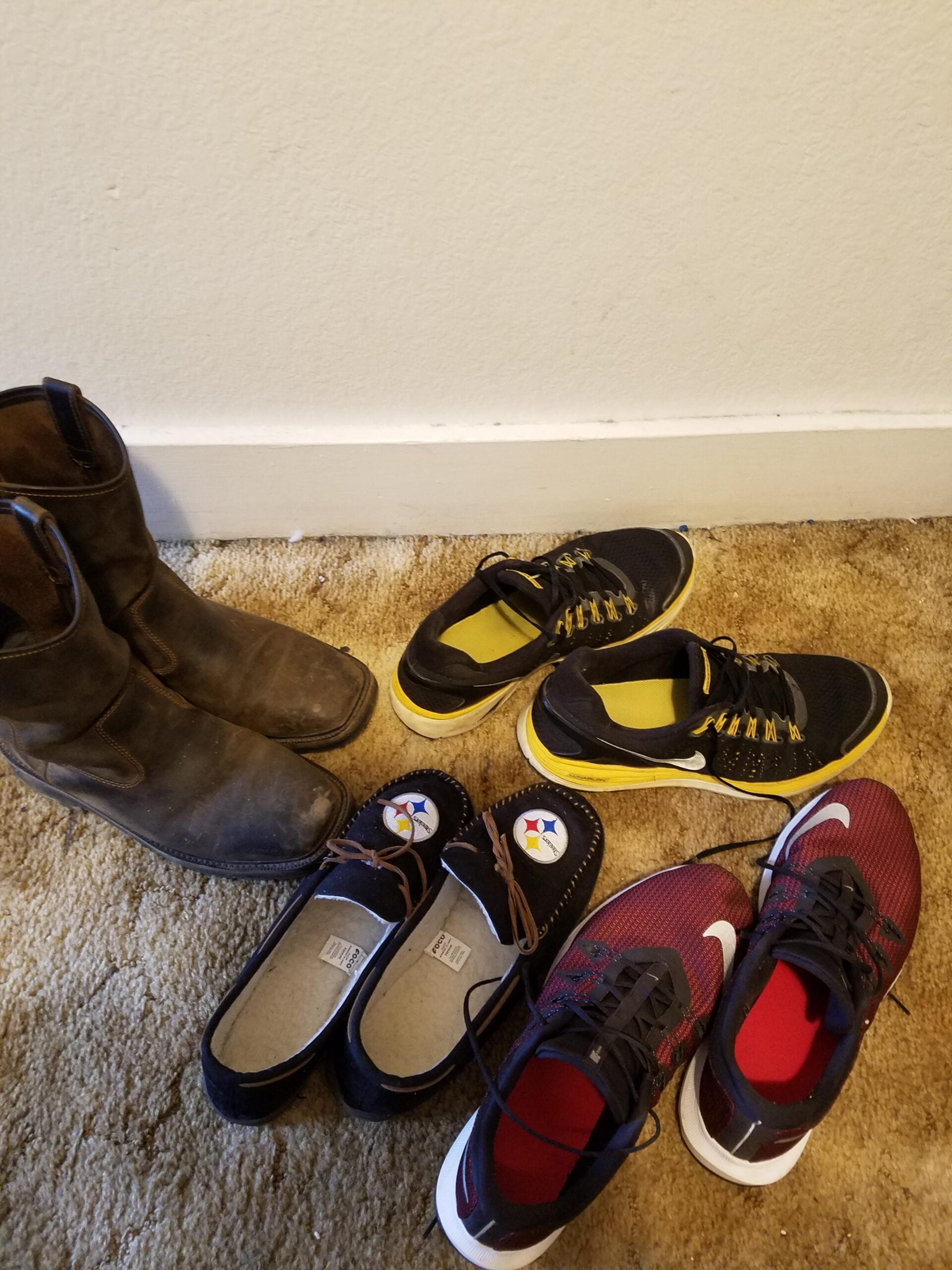 How to Treat Shoes for Bed Bugs?