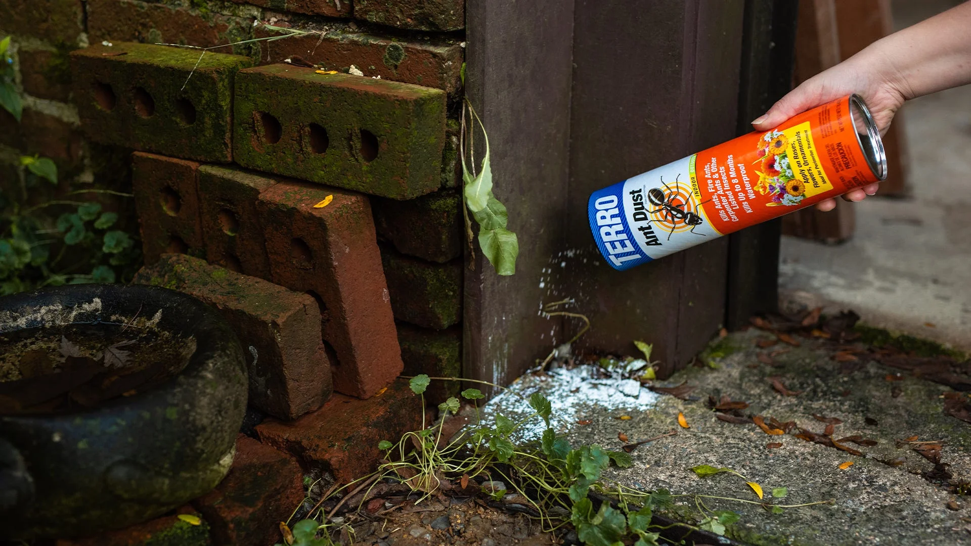 How to Use Ant Spray