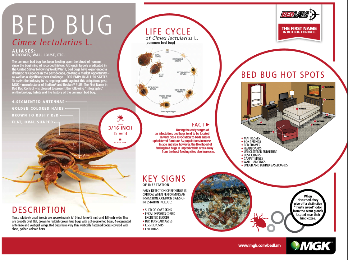 How to Use Crossfire for Bed Bugs?