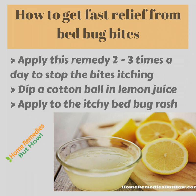 How to Use Lemon Juice to Kill Bed Bugs?