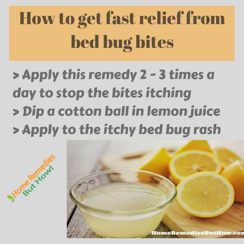 How to Use Lemon Juice to Kill Bed Bugs?