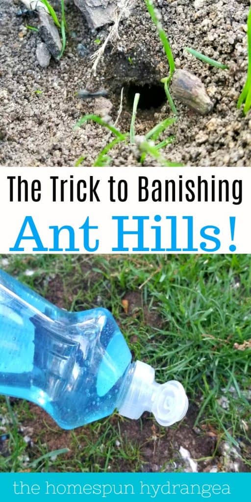 Prevent Ant Hills